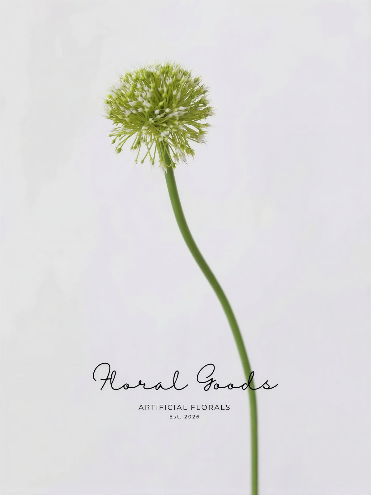 Globe Allium Stem – 33.5"