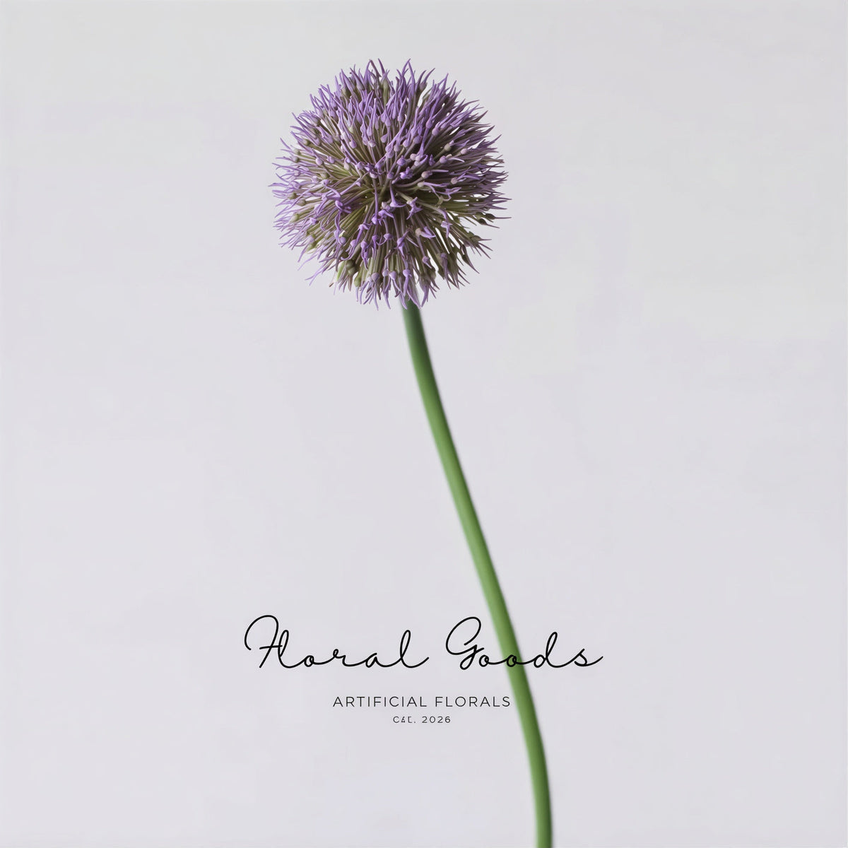 Globe Allium Stem – 33.5"