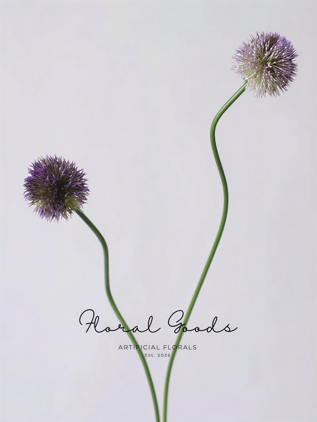 Globe Allium Stem – 33.5"