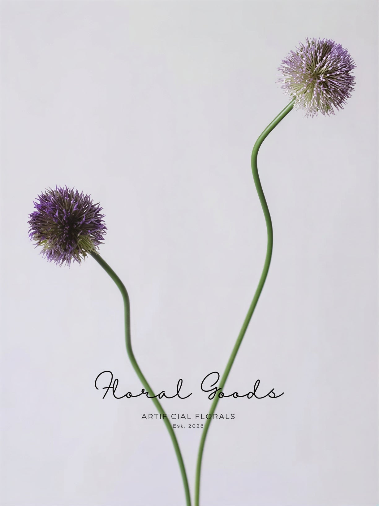 Globe Allium Stem – 33.5"