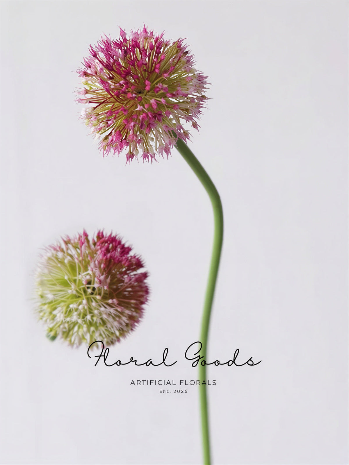 Globe Allium Stem – 33.5"