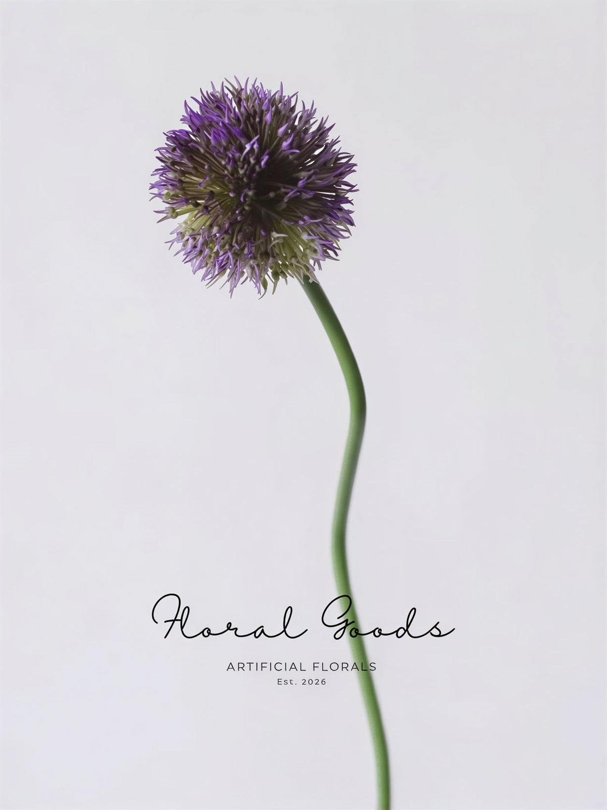 Globe Allium Stem – 33.5"