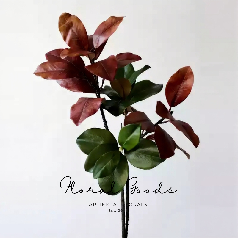 Glossy Magnolia Leaf Branch