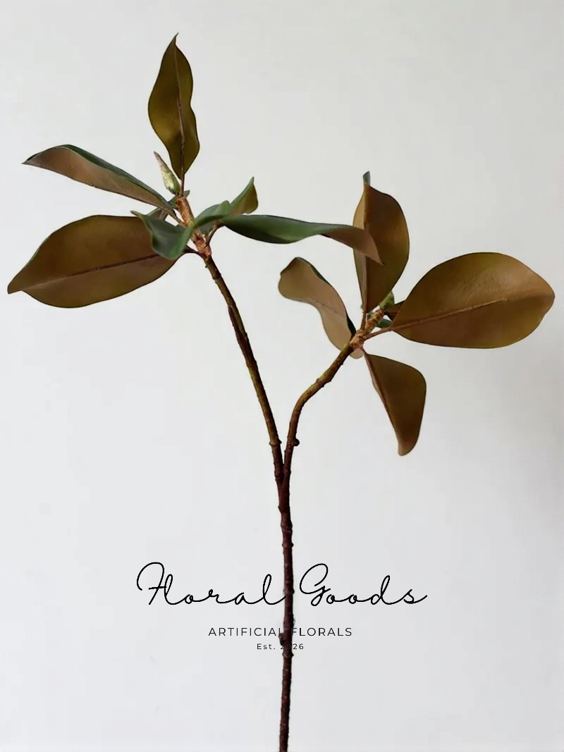 Glossy Magnolia Leaf Branch