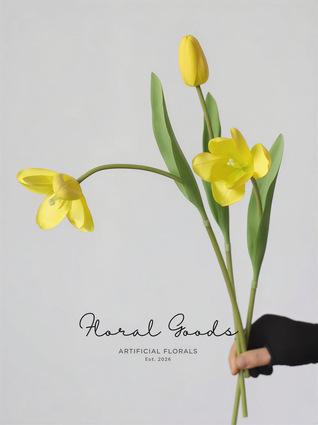 Graceful Tulip Stem  – 19"