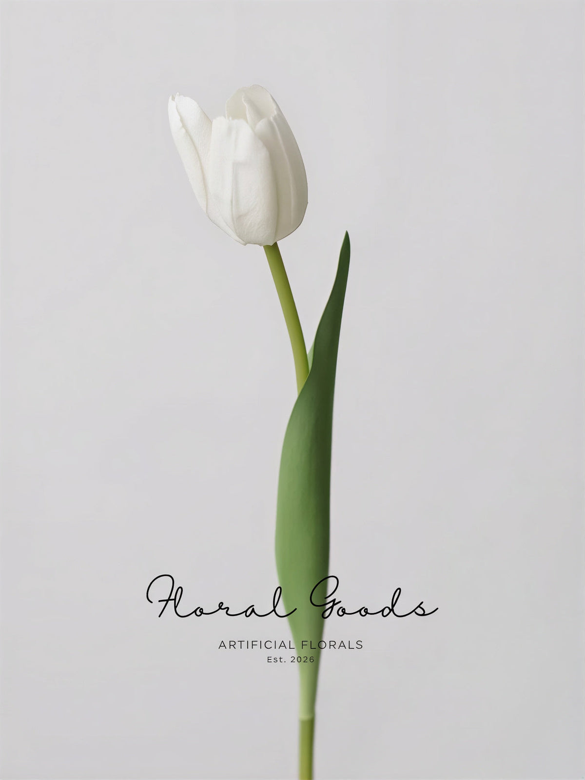 Graceful Tulip Stem  – 19"