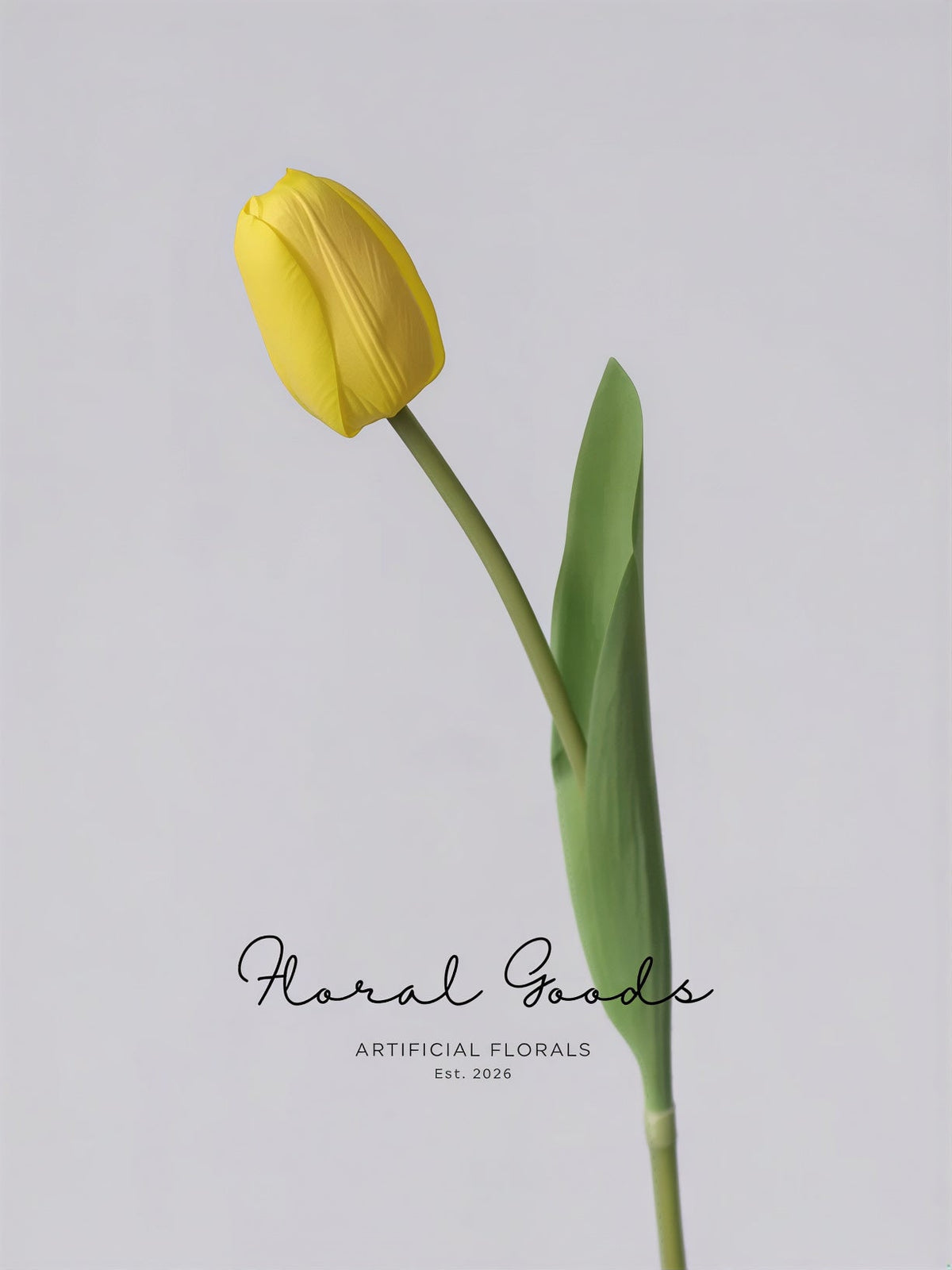 Graceful Tulip Stem  – 19"
