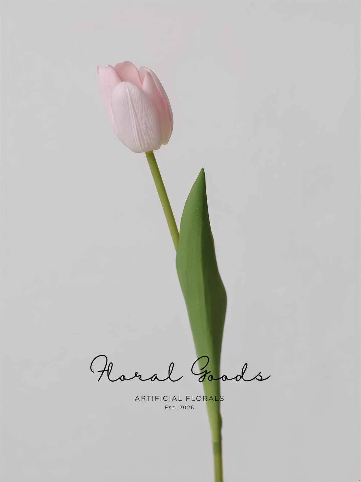 Graceful Tulip Stem  – 19"