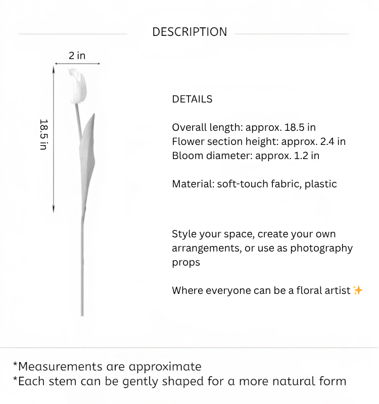 Graceful Tulip Stem  – 19"