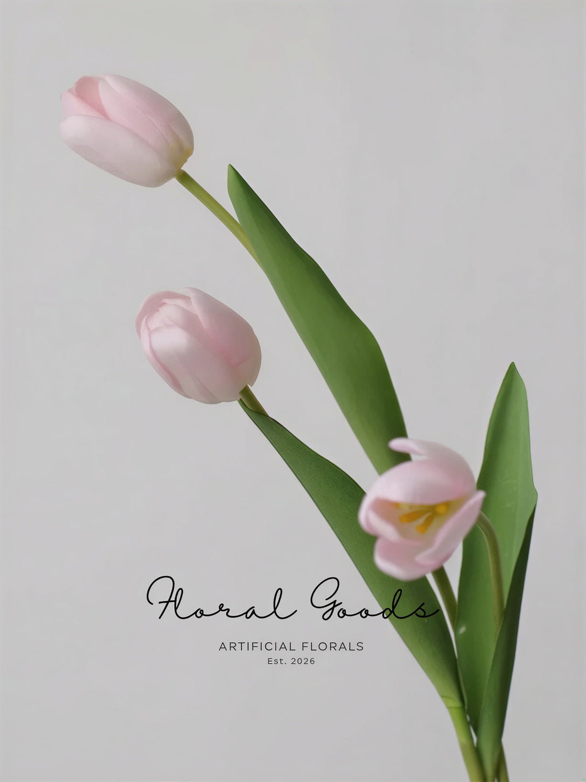 Graceful Tulip Stem  – 19"