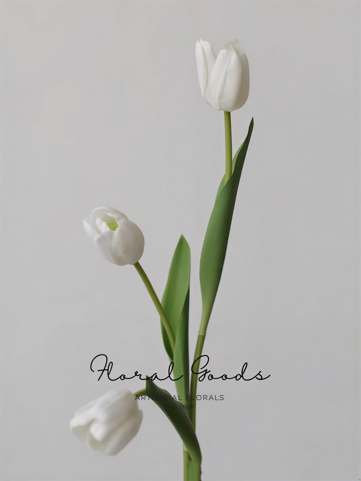 Graceful Tulip Stem  – 19"