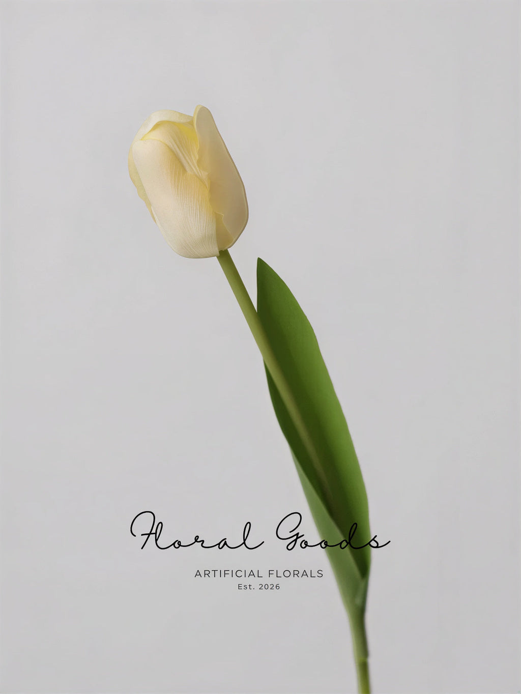Graceful Tulip Stem  – 19"
