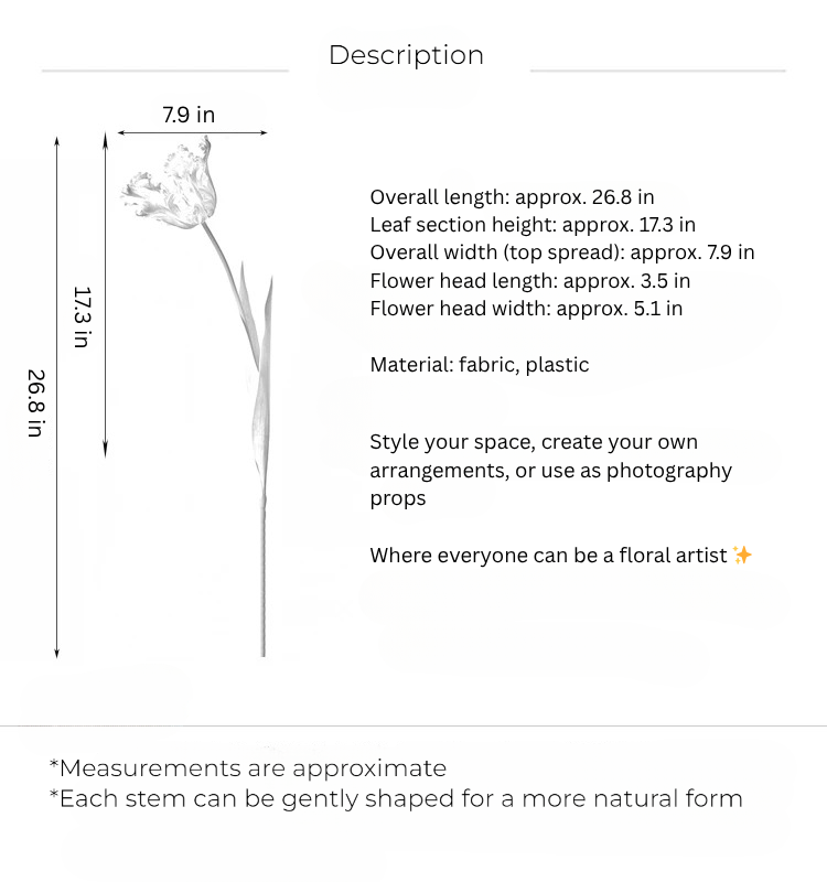 Graceful Tulip Stem – 27"