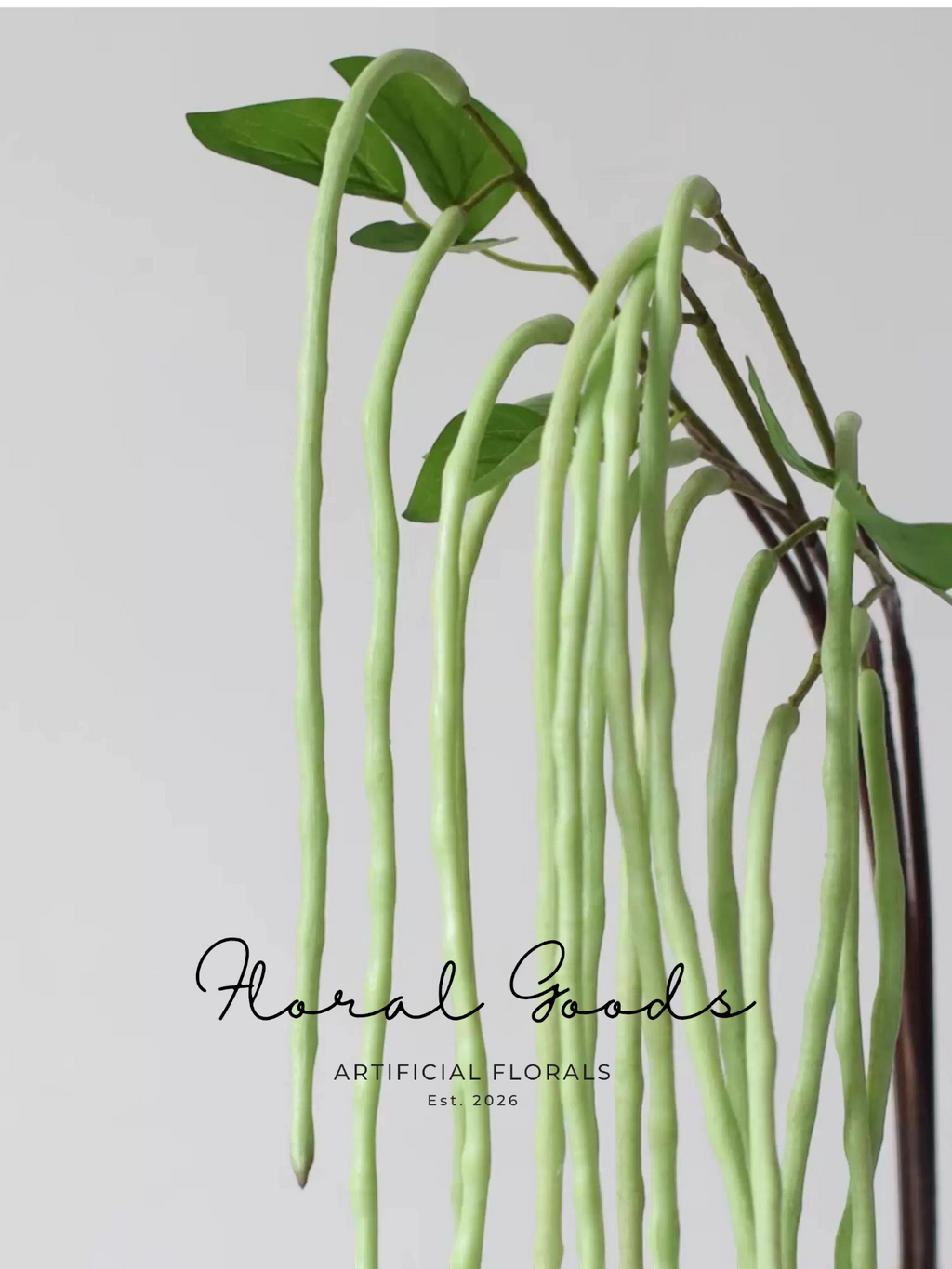 Hanging Bean Pod Branch – 31.5"