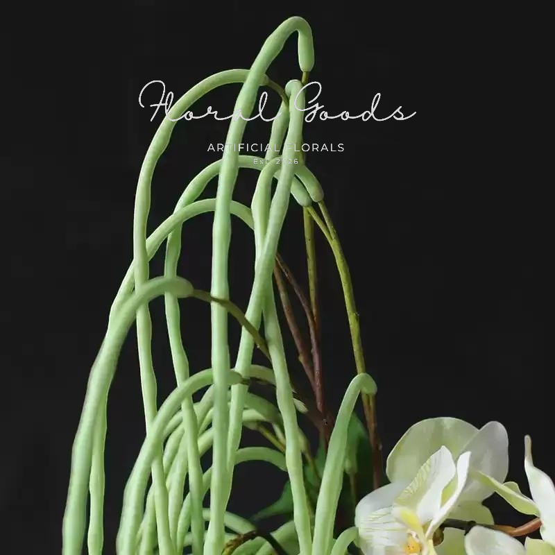Hanging Bean Pod Branch – 31.5"