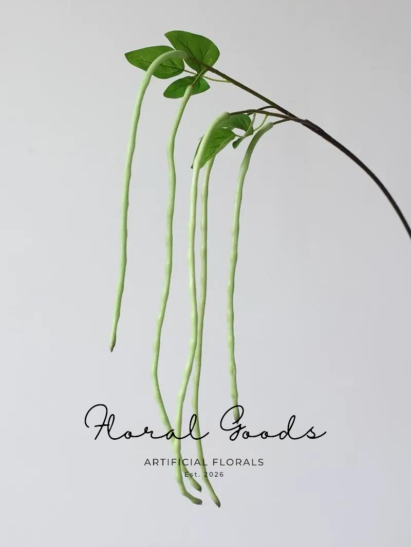 Hanging Bean Pod Branch – 31.5"