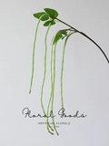 Hanging Bean Pod Branch – 31.5"
