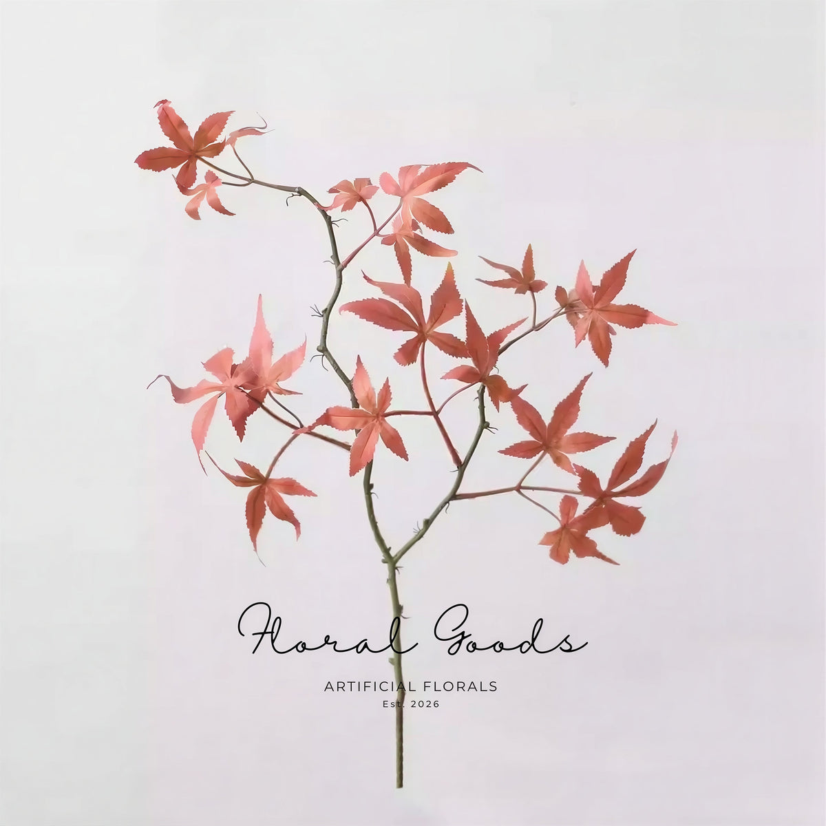 Japanese Maple Branch