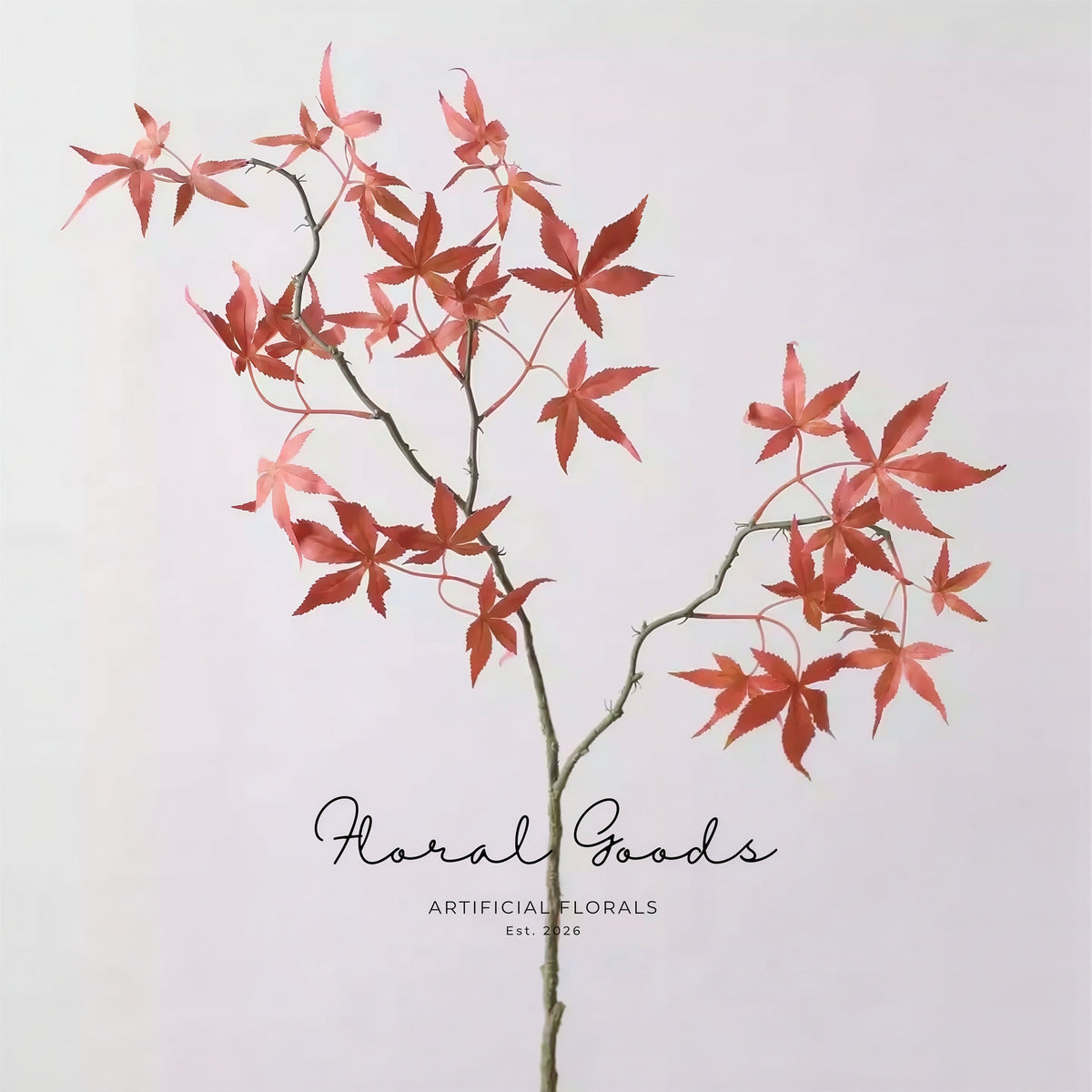 Japanese Maple Branch