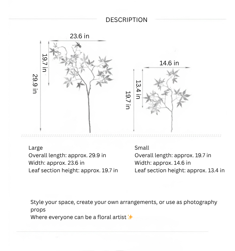 Japanese Maple Branch