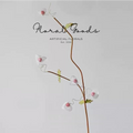 Lantern Berry Branch Stem – 34"