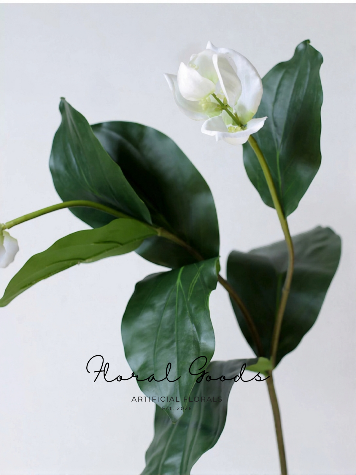 Lotus Lantern Flower Stem – 30"