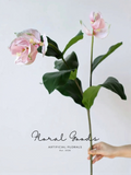 Lotus Lantern Flower Stem – 30"
