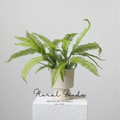 Lush Fern Bundle – 19.7"
