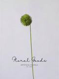 Modern Globe Thistle Stem – 17"