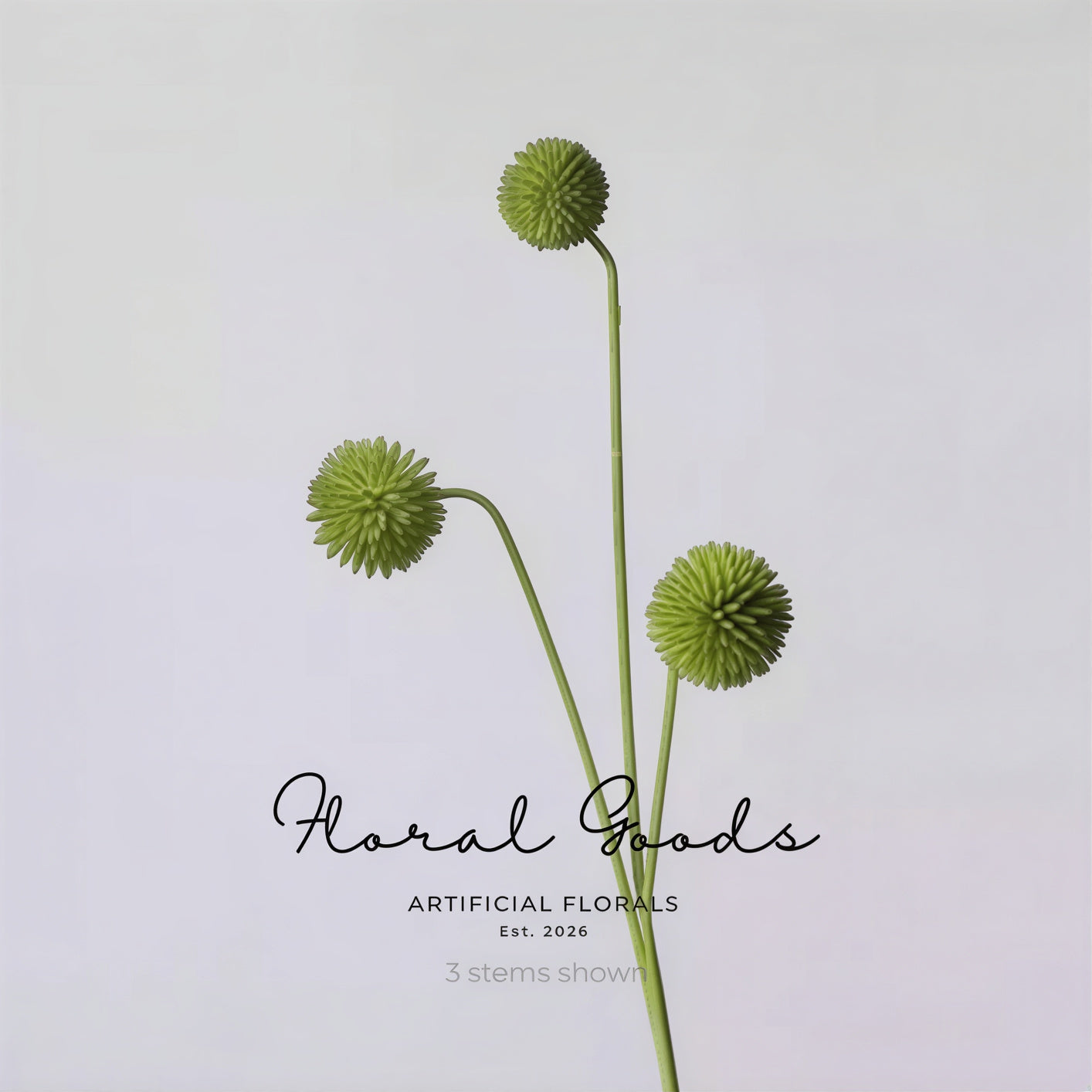Modern Globe Thistle Stem – 17"