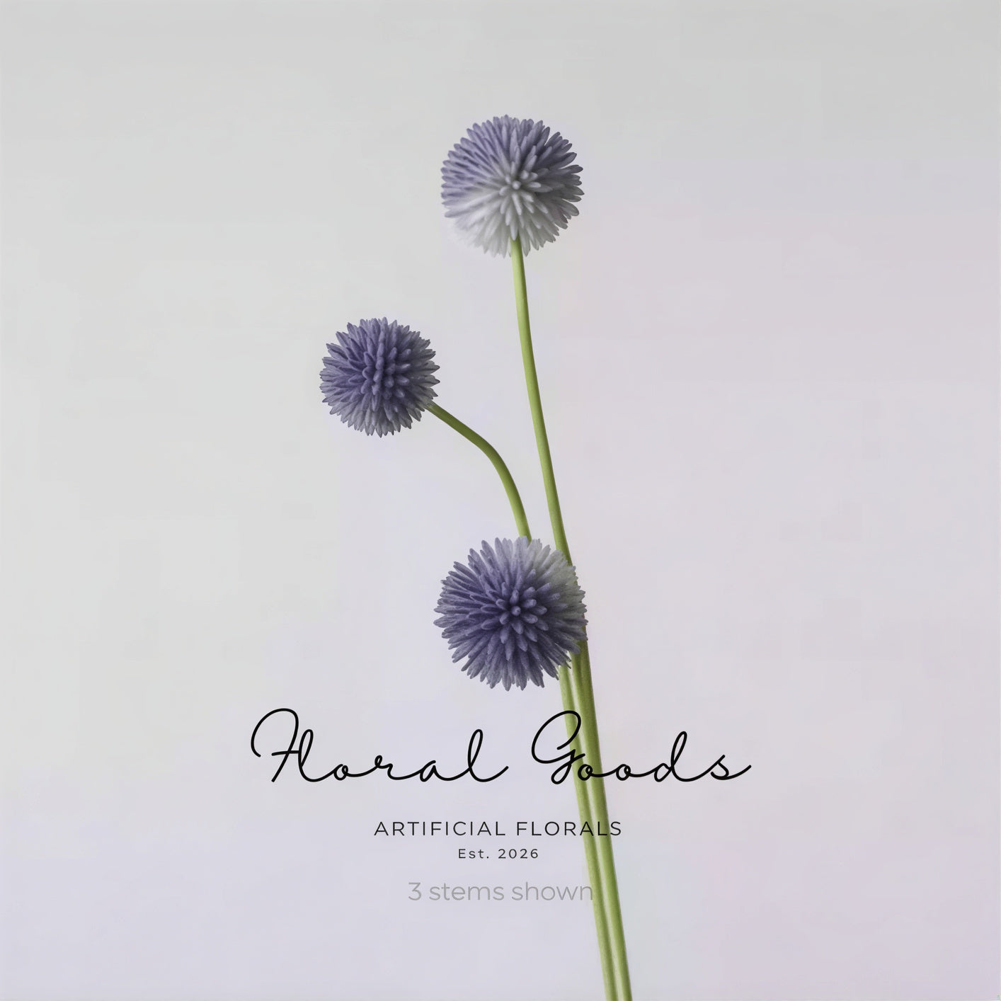 Modern Globe Thistle Stem – 17"