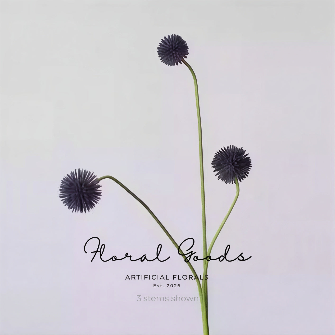 Modern Globe Thistle Stem – 17"