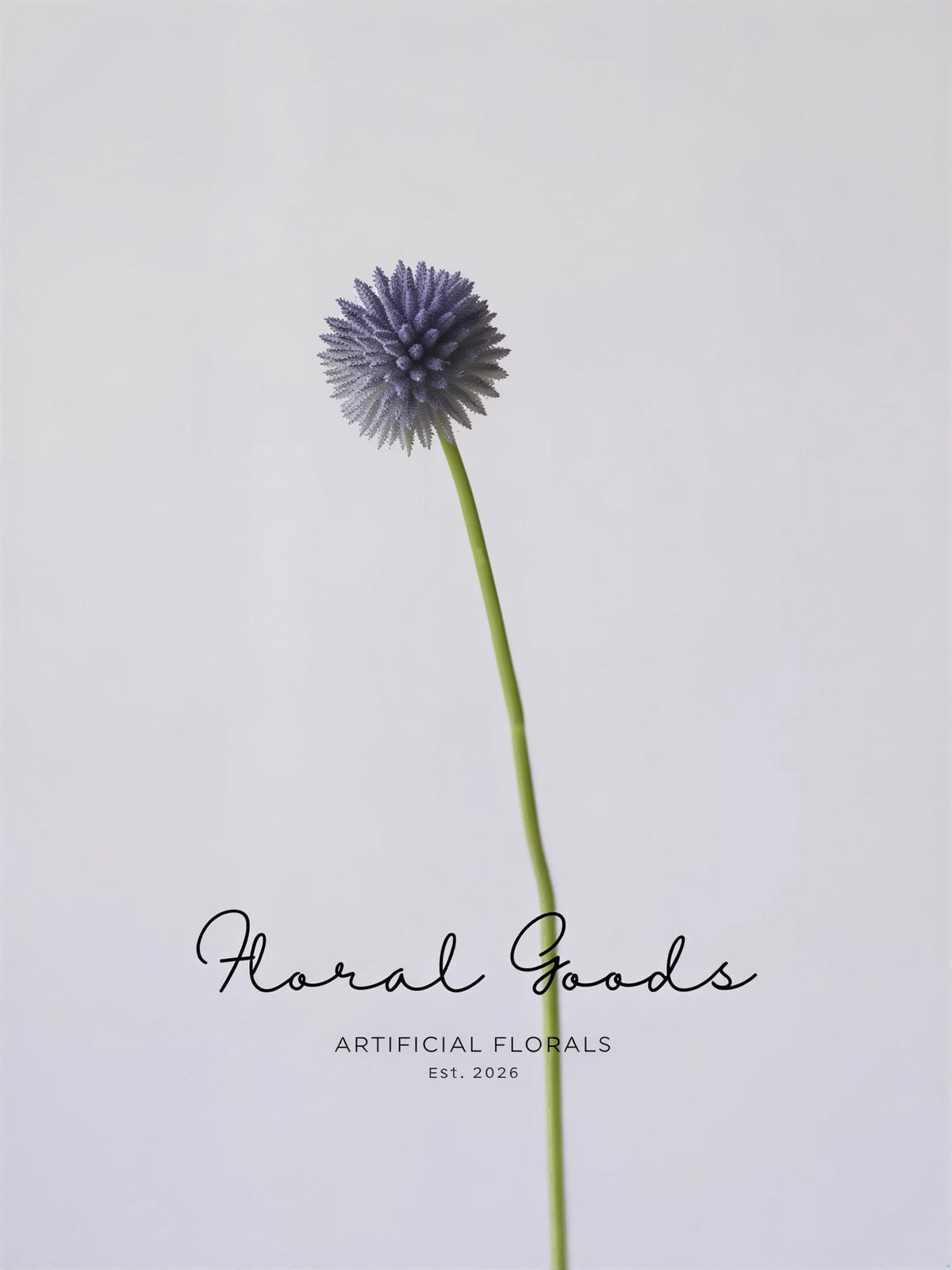 Modern Globe Thistle Stem – 17"