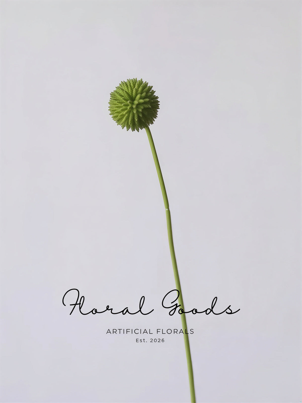 Modern Globe Thistle Stem – 17"