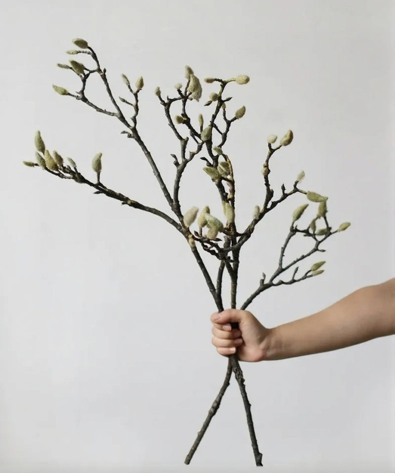 Magnolia Bud Branch – 35"