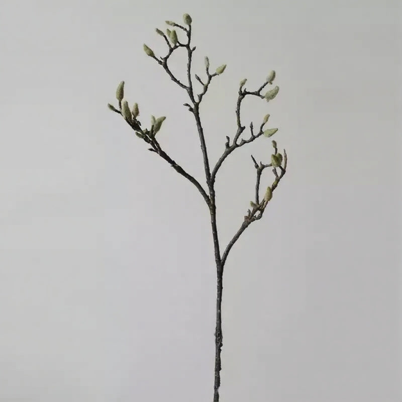 Magnolia Bud Branch – 35"