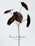 Moody Alocasia Leaf Stem – 28.3"