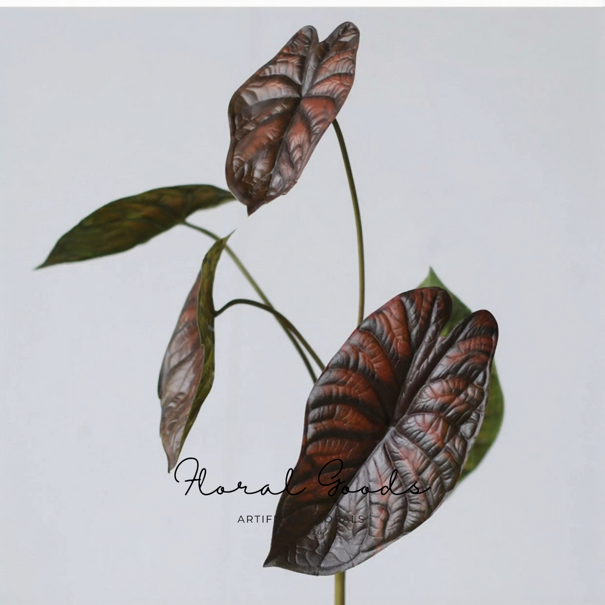 Moody Alocasia Leaf Stem – 28.3"