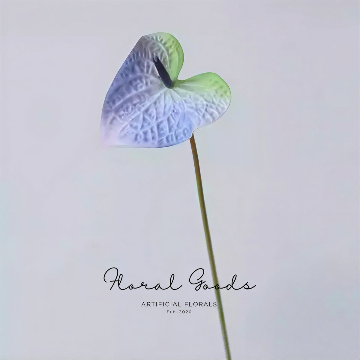 Modern Anthurium Stem – 24"