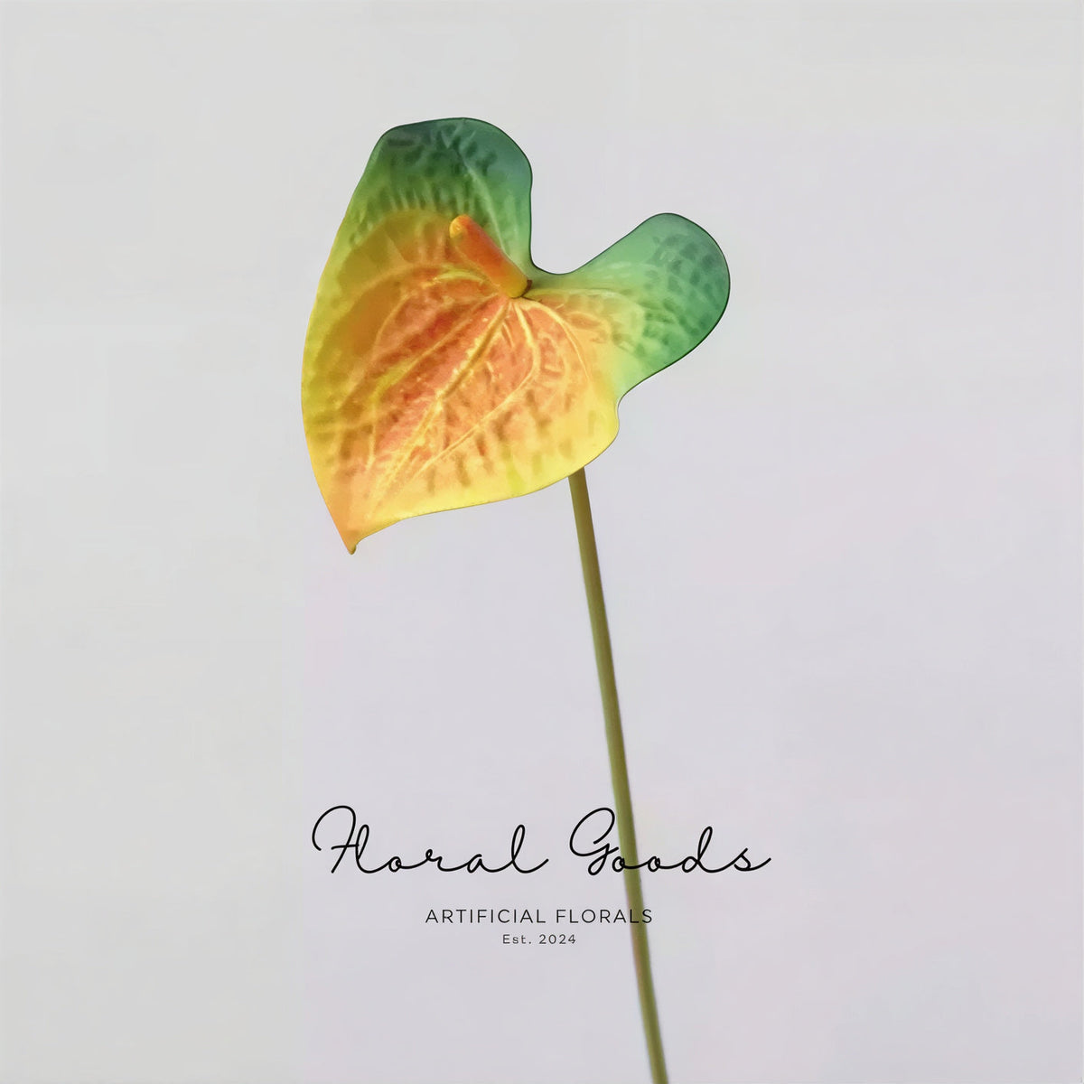Modern Anthurium Stem – 24"