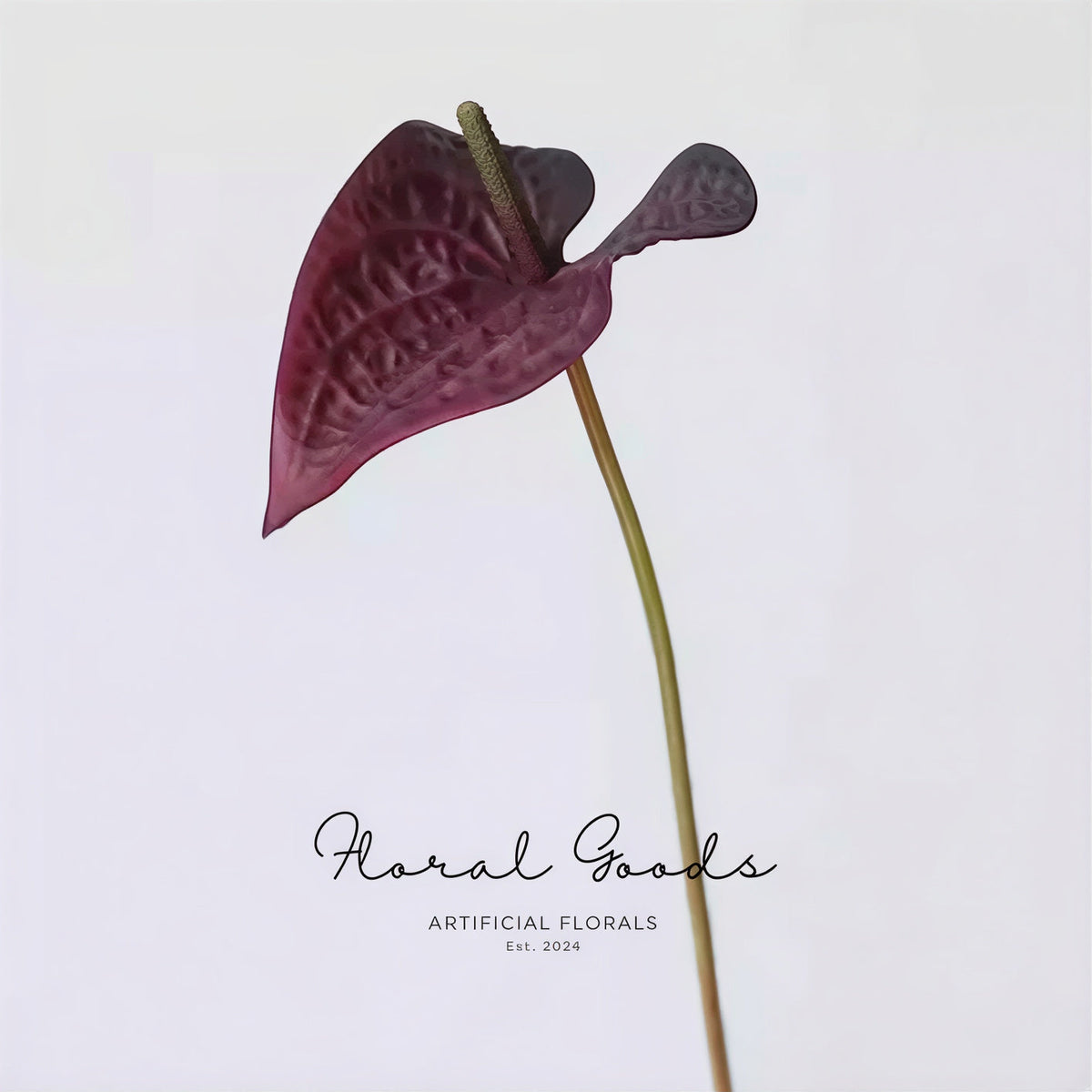 Modern Anthurium Stem – 24"