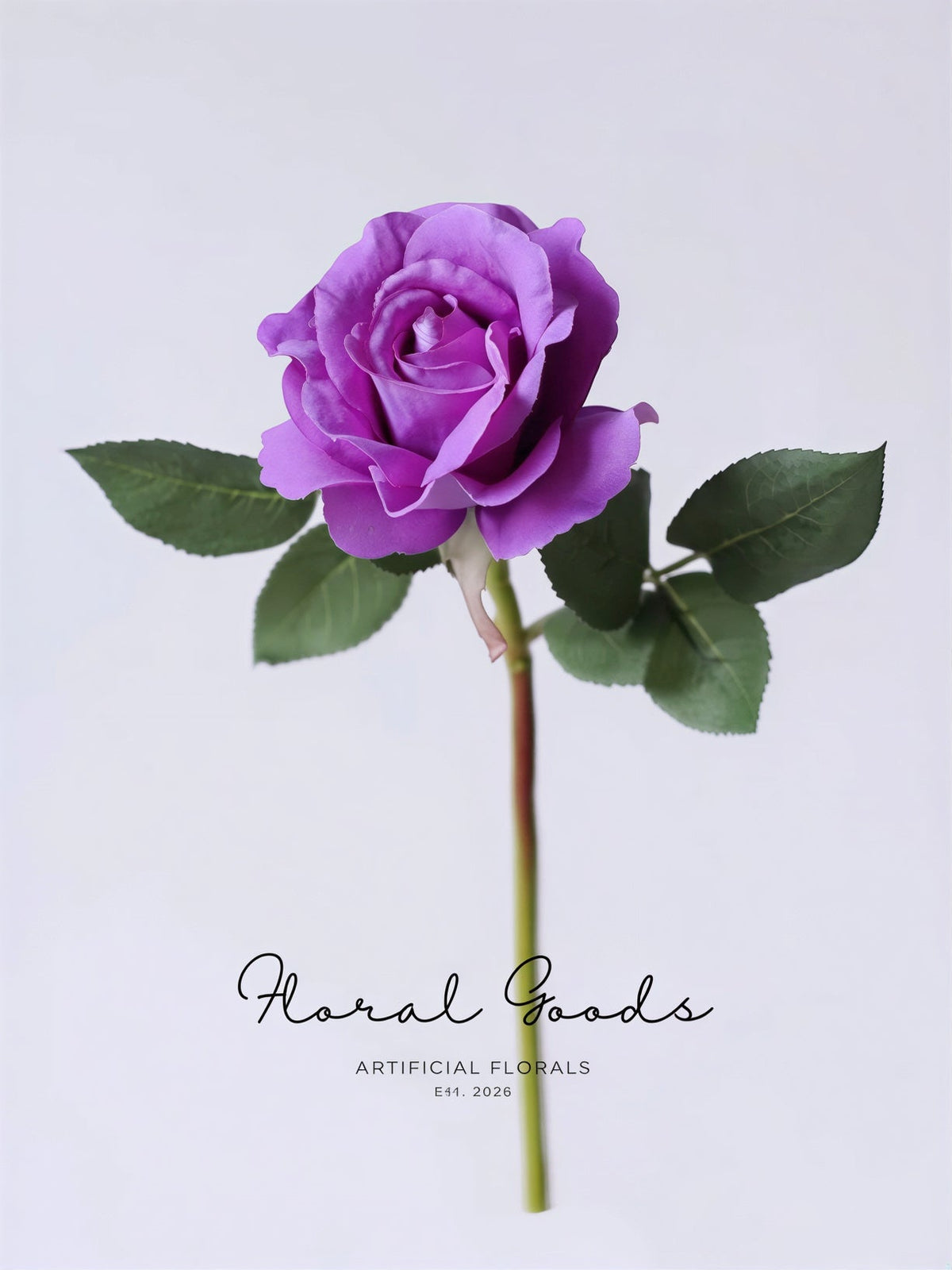 Modern Garden Rose Stem – 14"