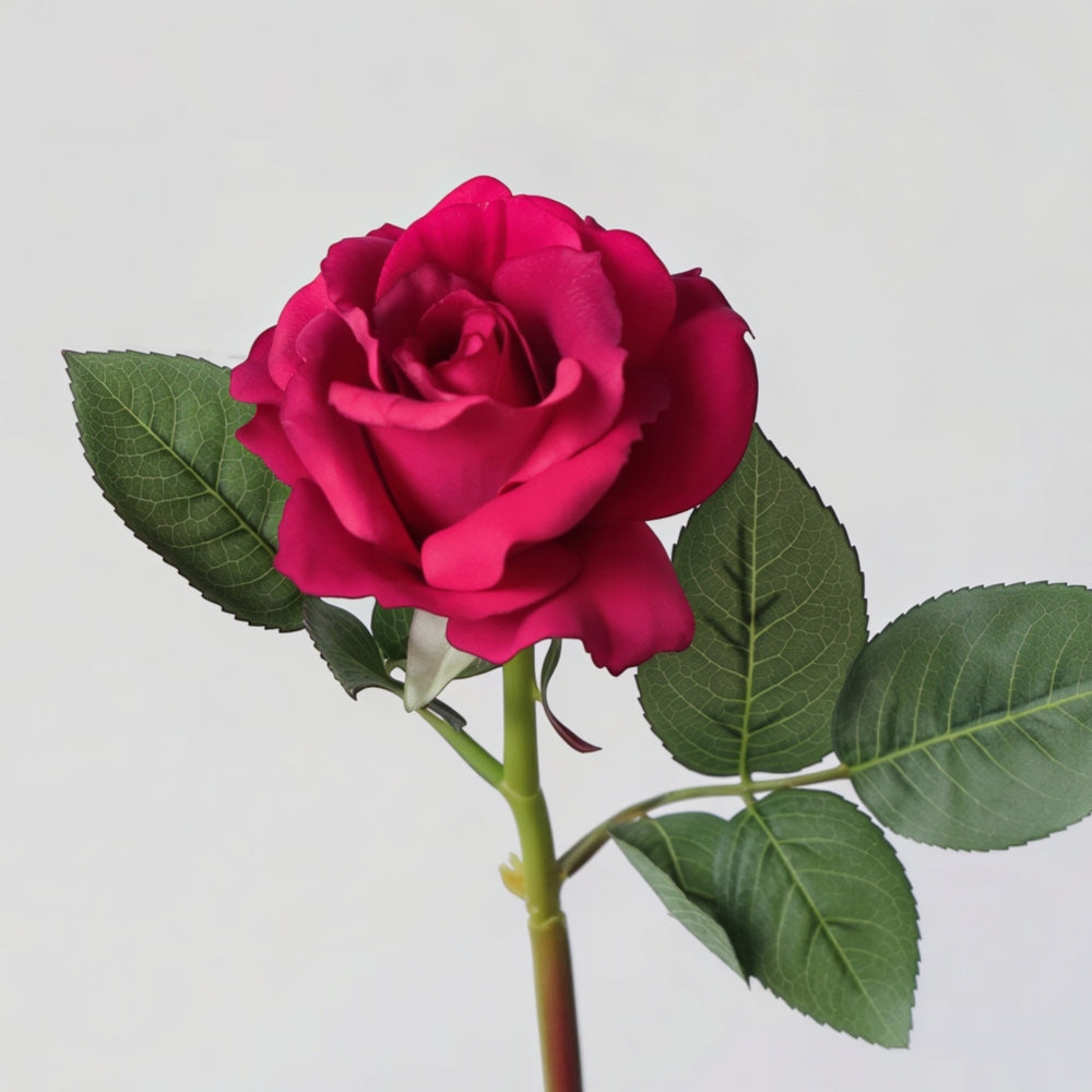 Modern Garden Rose Stem – 14"