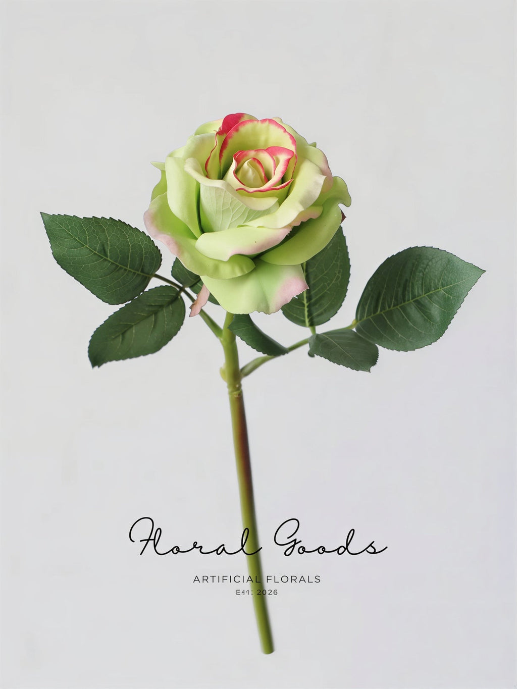 Modern Garden Rose Stem – 14"