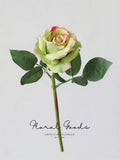 Modern Garden Rose Stem – 14"