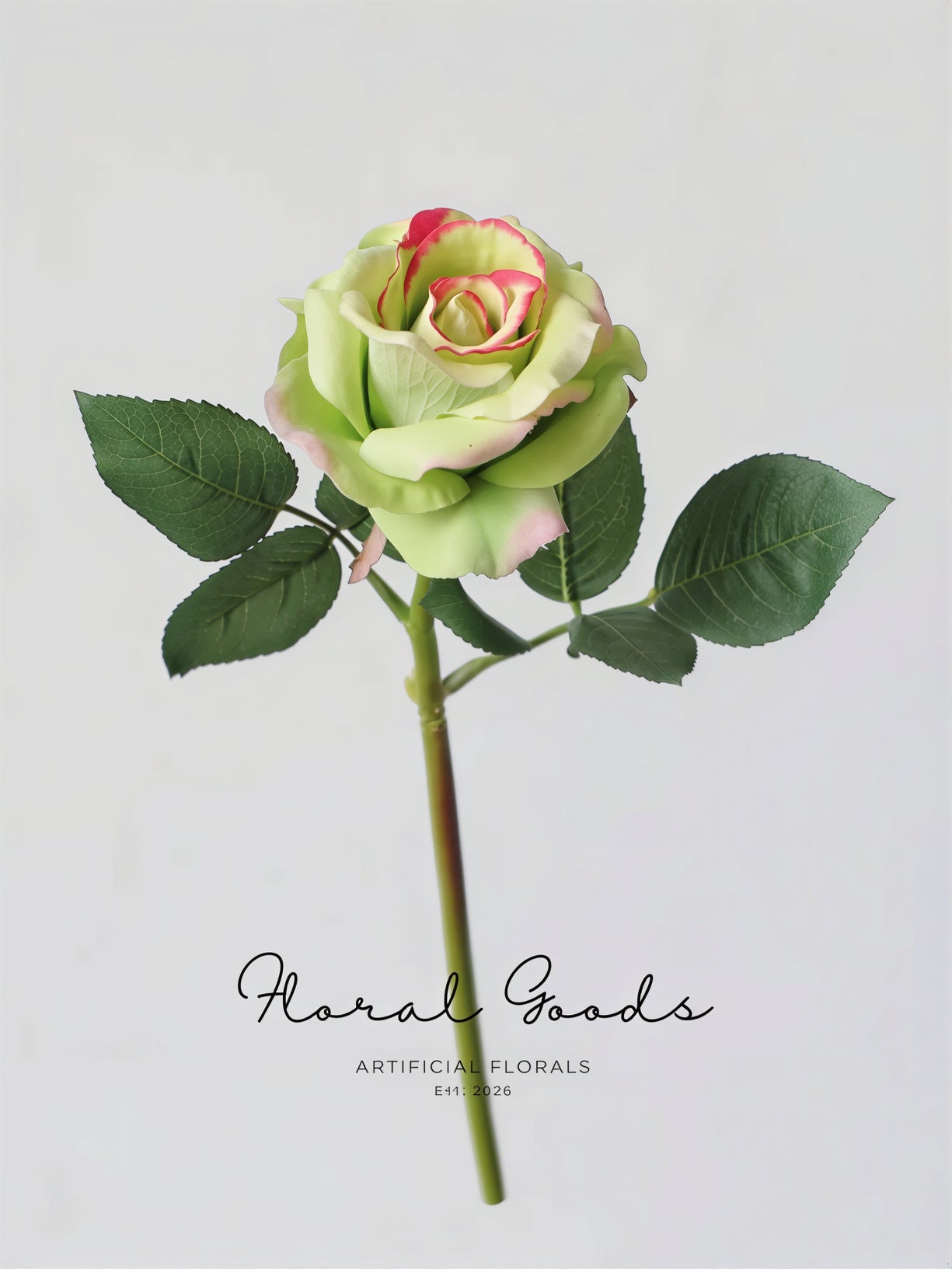 Modern Garden Rose Stem – 14"