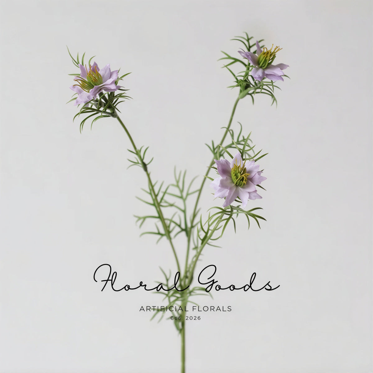 Meadow Nigella Stem – 30.7"