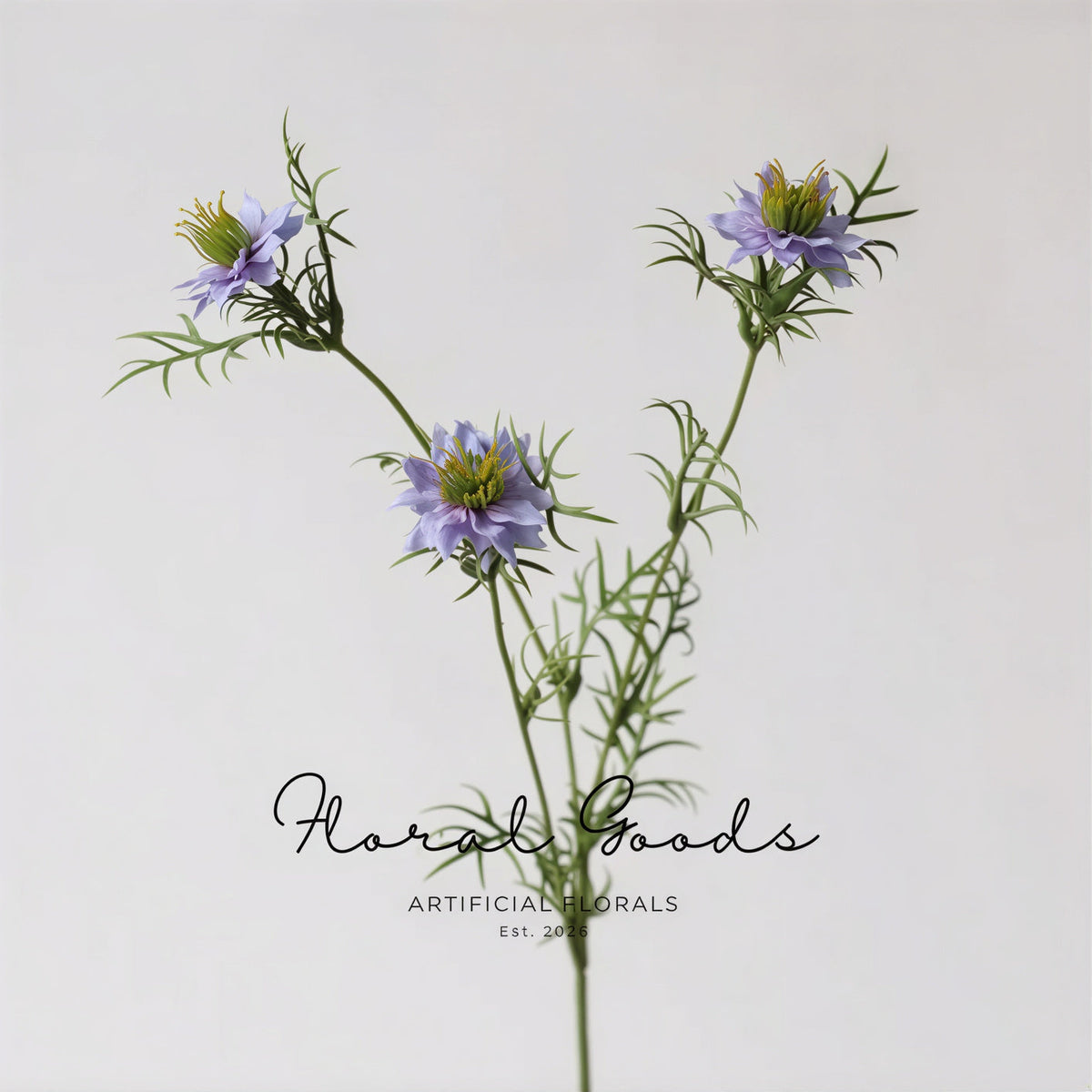Meadow Nigella Stem – 30.7"