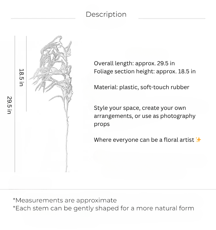 Meadow Foxtail Stem – 29.5”