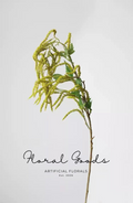Meadow Foxtail Stem – 29.5”